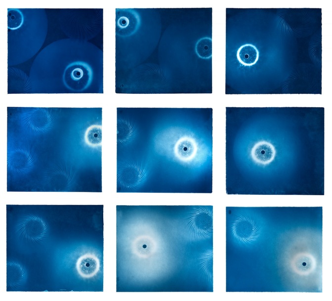 Jo Yarrington cyanotype series